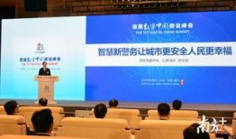 徐深深圳最新爆料,揭秘背后惊人真相