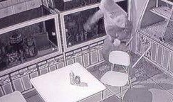 唐山蛋糕店爆料事件最新,事件真相与行业反思