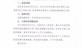 衡水最新爆料,揭秘背后惊人真相！
