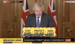 新冠英国爆料最新消息,最新揭露疫情真相与挑战