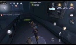 第五人格bug最新爆料,揭秘游戏漏洞与修复进展