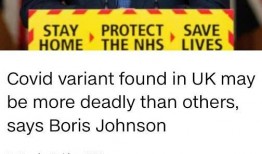 新冠英国爆料最新消息,最新揭露疫情真相与挑战