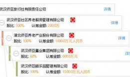 武汉侨亚集团最新爆料,揭秘企业转型与市场布局新动向