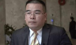 宋祖德最新爆料党律师,党律师涉嫌重大事件，真相即将揭晓！