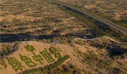 最新沙漠爆料新闻报道,最新爆料揭示神秘沙漠现象