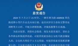 河津最新爆料消息,揭秘神秘事件背后的惊人真相！